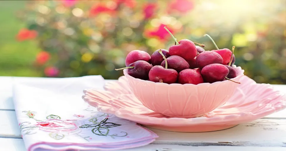 what do french bulldogs eat - cherries, bowl, fruits