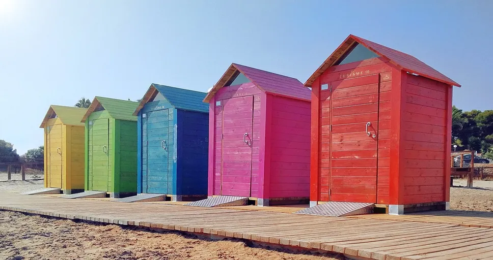 does a french bulldog shed - beach, sea, costa